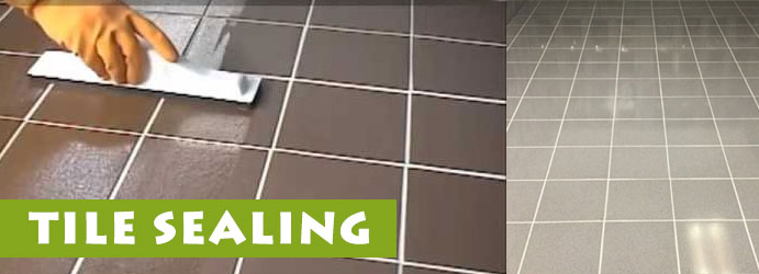 Tile Sealing Services in Holder