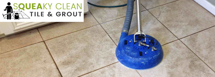 Professional Tile Cleaning Services 