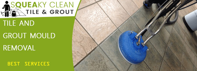 Tile and Grout Mould Removal 